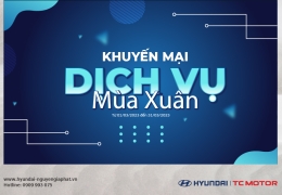 ƯU ĐÃI DỊCH VỤ MÙA XUÂN - TRI ÂN KHÁCH HÀNG