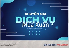ƯU ĐÃI DỊCH VỤ MÙA XUÂN - TRI ÂN KHÁCH HÀNG