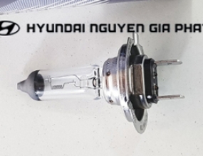 BÓNG ĐÈN ĐẦU KÉO HD1000