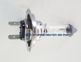 BÓNG ĐÈN XE HD260