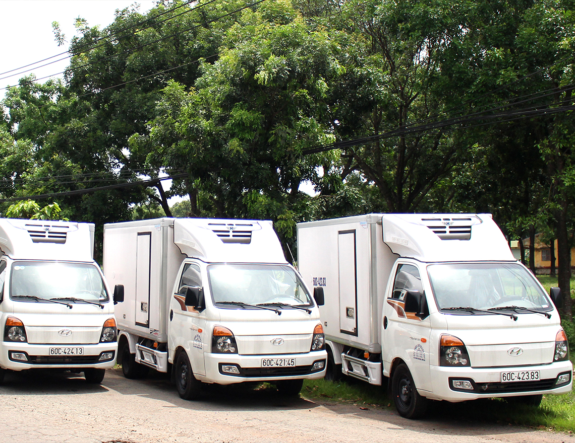 NEW PORTER 150 - 1.5 TẤN